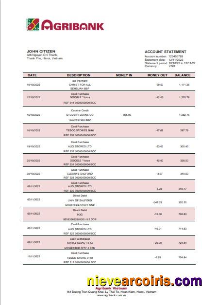 Vietnam Agribank bank statement in Word and PDF format